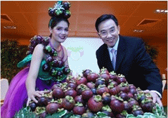 ประโยชน์ของมังคุด , น้ำมังคุดบิมร้อย